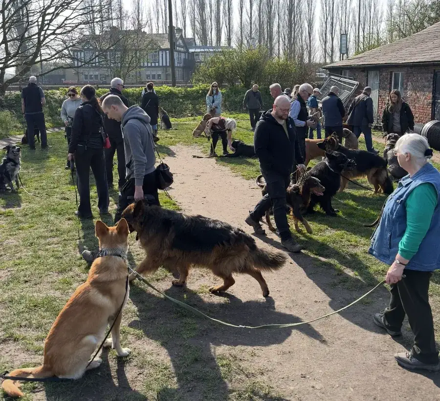 Life at Unleashed K9