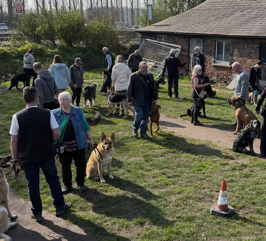 Life at Unleashed K9