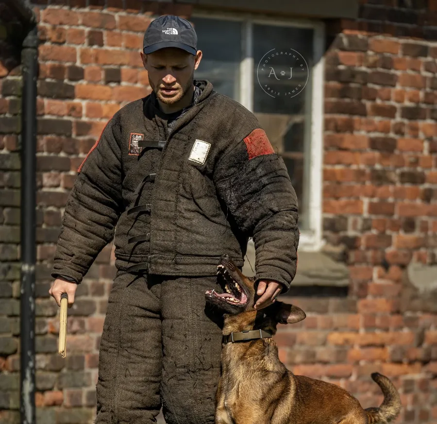 Life at Unleashed K9