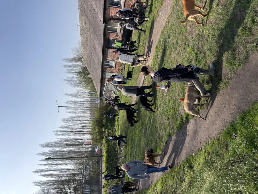 Life at Unleashed K9