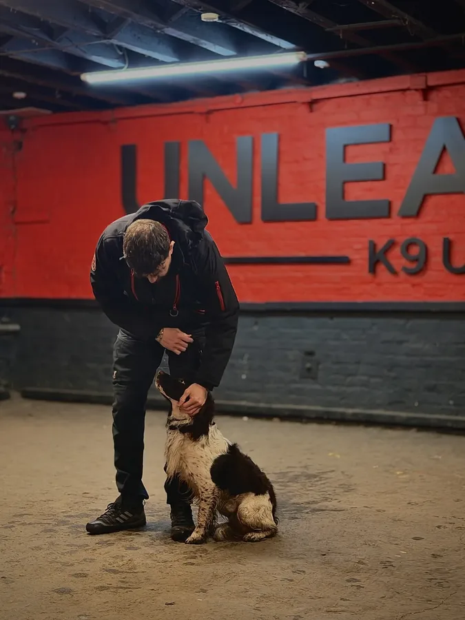Life at Unleashed K9