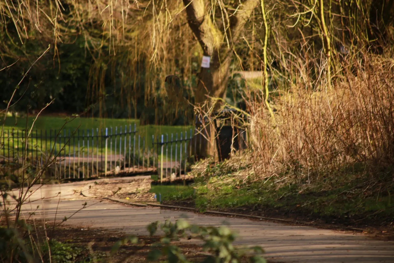 Before and after — recall training