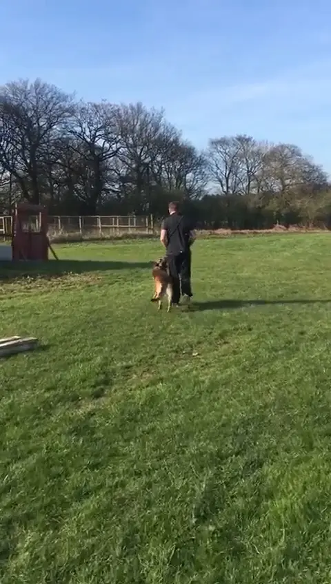 Protection training session