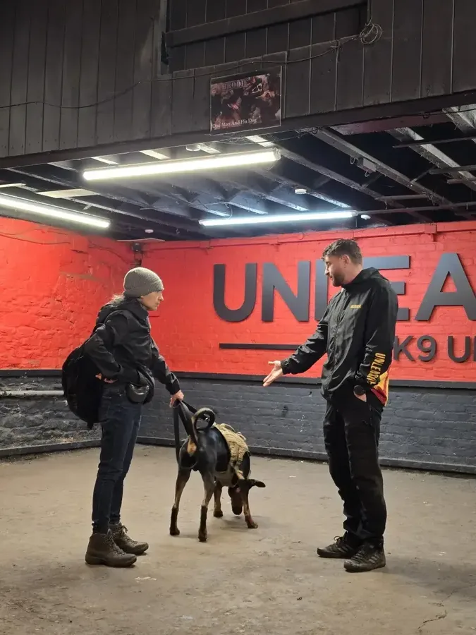 Specialist aggression rehabilitation session at Unleashed K9 facility