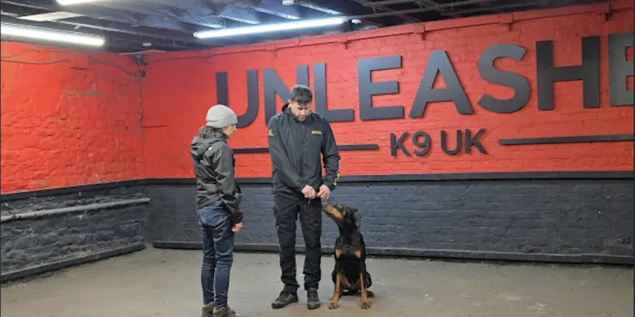 Life at Unleashed K9