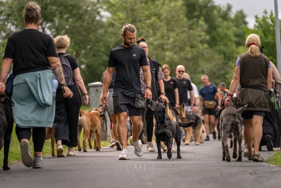 Life at Unleashed K9