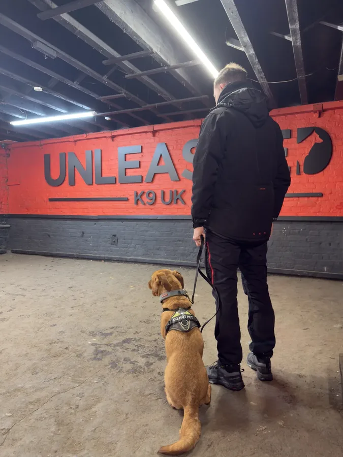 Life at Unleashed K9